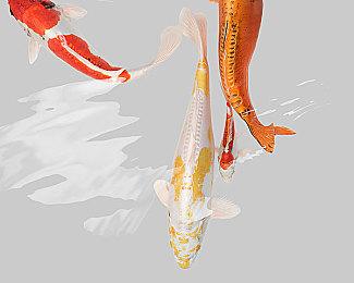 亚洲版《数码方块地球防卫军 2》将针对PS®Plus高级会员提供试玩版！